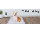 PaWz 100 Pcs 60x60 cm Pet Puppy Toilet Training Pads Absorbent Lavender Scent