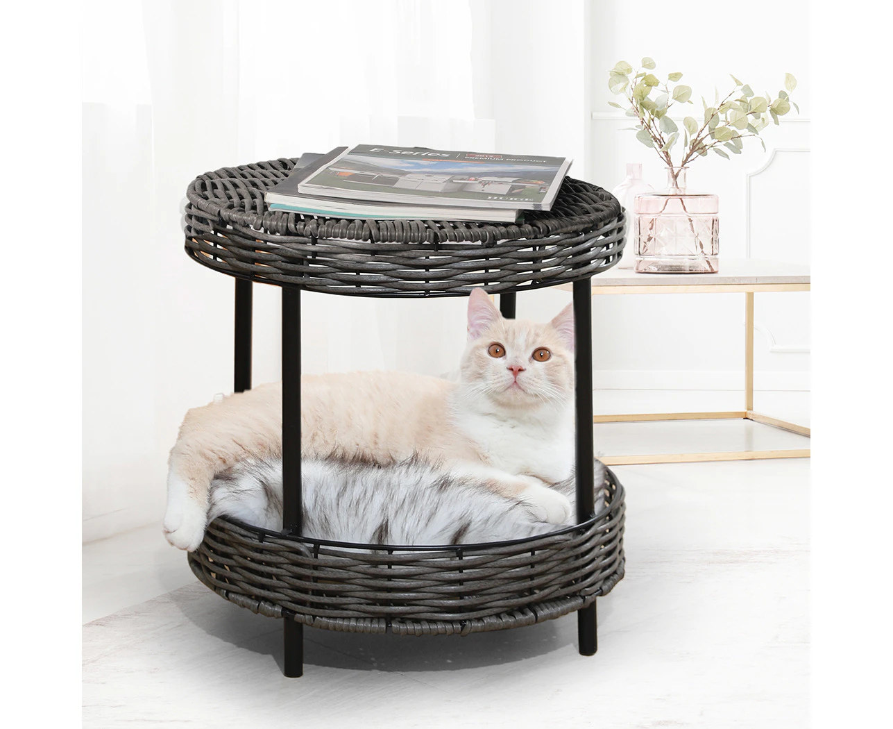 Pawz Rattan Pet Bed Elevated Raised Cat Dog House Wicker Basket Kennel Table