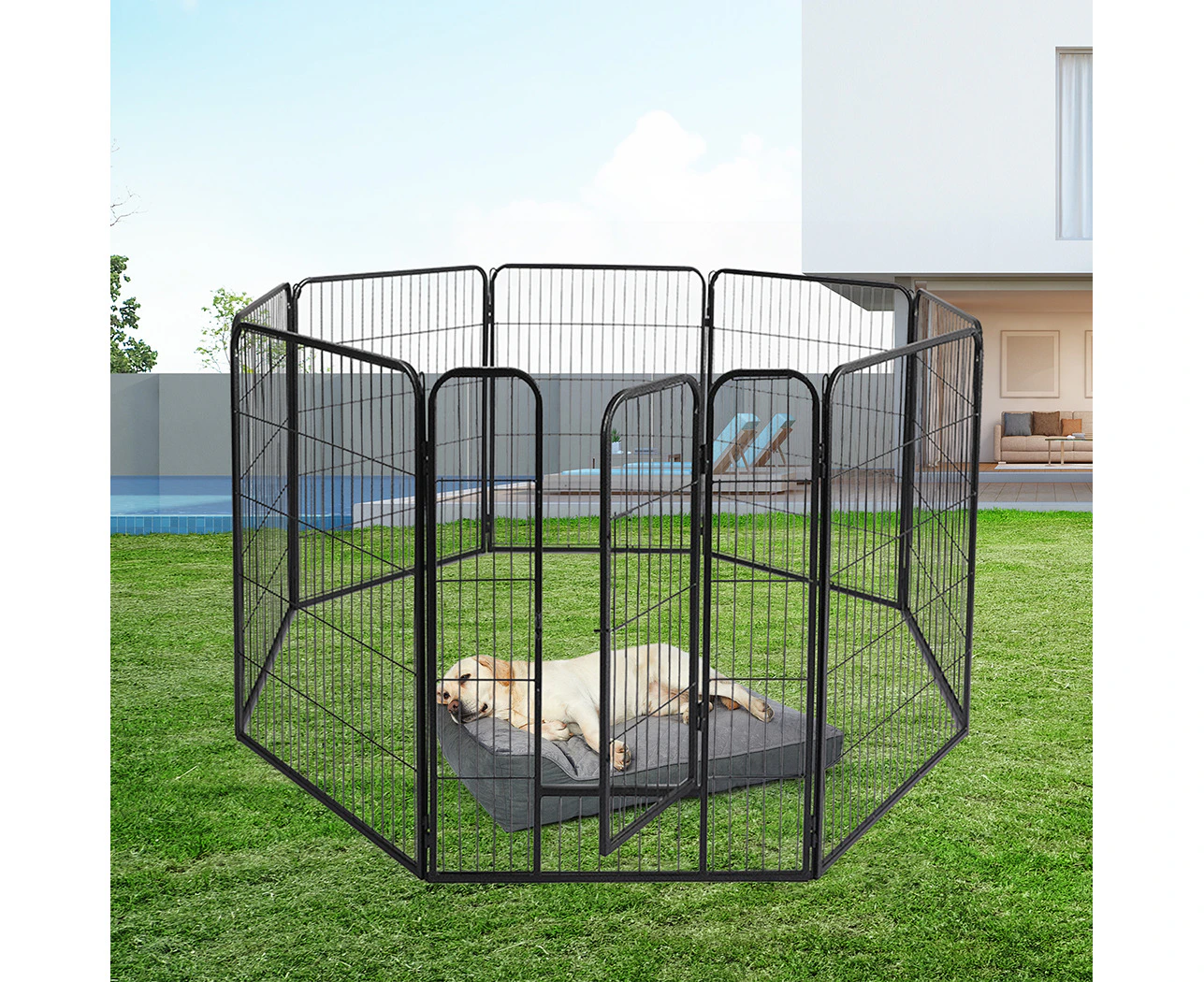 Puppy dog pen best sale