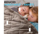 DreamZ 2KG Kids Anti Anxiety Weighted Blanket Gravity Blankets Mink Colour