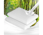 Dreamz 2x Natural Latex Pillow Removable Cover Memory Down Luxurious Soft - White