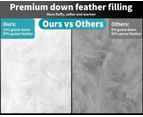 Dreamz 500GSM All Season Goose Down Feather Filling Duvet in King Single Size