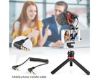 MIC10 Recording Microphone Directional Plug Play Mini Smartphone Video Condenser Microphone for Camera - Black