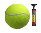 10" GIANT TENNIS BALL with BALL PUMP Air Inflator for Autographs Signatures