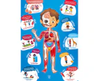 Hape 1m Human Body Puzzle