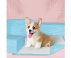 PaWz 100 Pcs 60x60cm Ultra Absorbent Puppy Pet Dog Cat Toilet Training Pads Blue