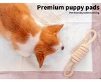 PaWz 400pc 60x60cm Puppy Pet Dog Indoor Cat Toilet Training Pads Absorbent Pink