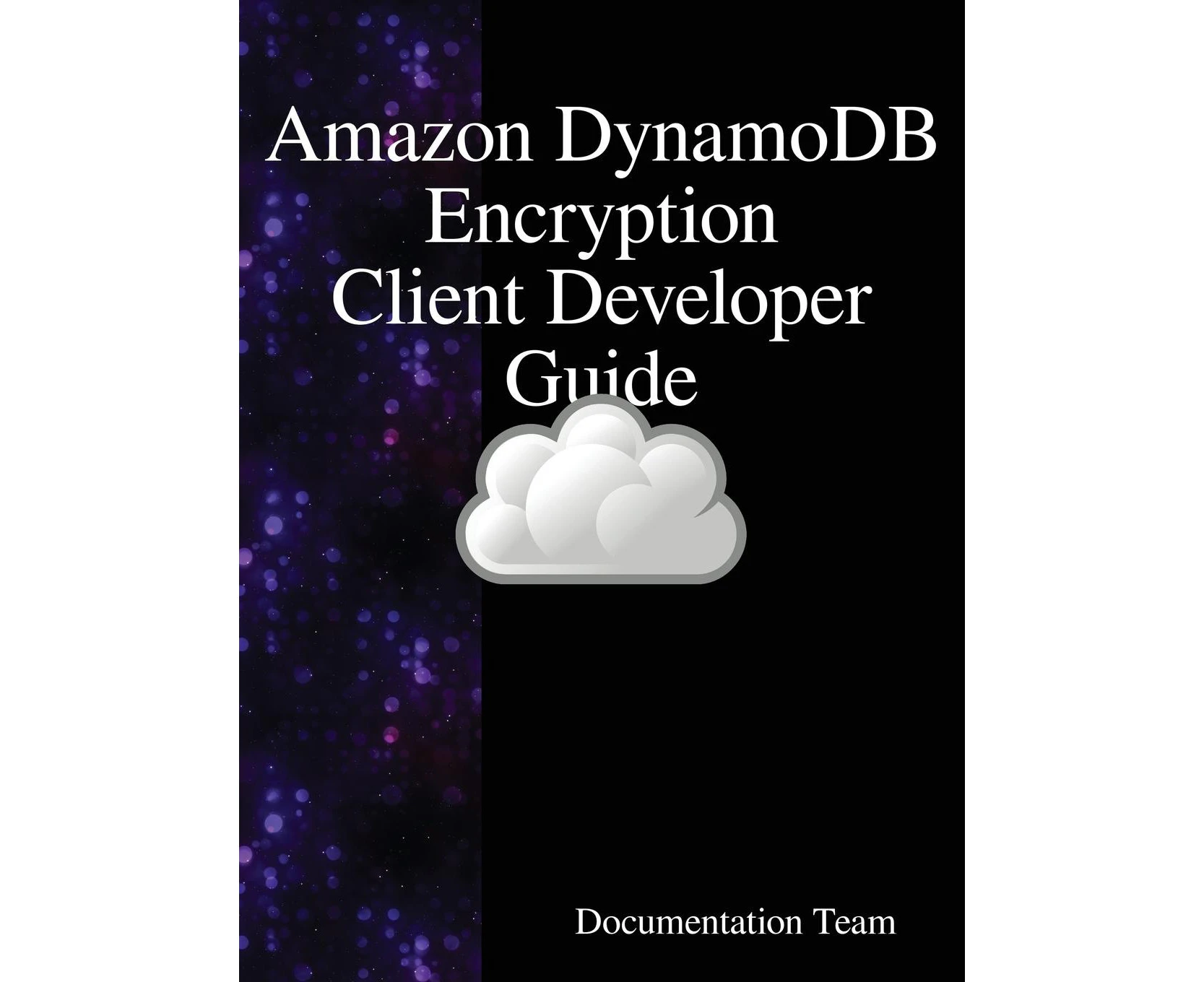 Amazon DynamoDB Encryption Client Developer Guide