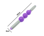 Muscle Roller Massage Legs,Back,Arms,Shoulders,Thigh Body Massager Massage Stick Spiky Trigger Point Relief Muscle Pain Stress - Purple