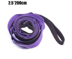 Versatile Multi-Loop Strap Perfect for Yoga, Pilates│ Portable │ Helps Improve Flexibility - Purple + black