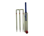 Regent Wooden Cricket Set Size 5 w/ Carry Case Fun Outdoor Backyard/Beach Game