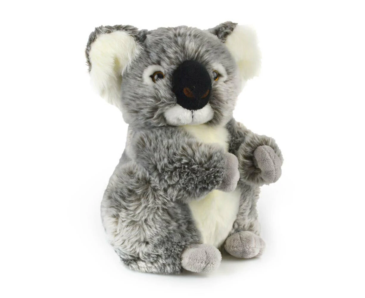 Korimco 21cm Kids/Children Small Koala Kalypso Plush Soft Animal Stuffed Toy GRY