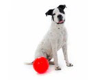 Aussie Dog Products 19cm Pet Enduro Interactive Hard Ball Play Toy Outdoor Red M