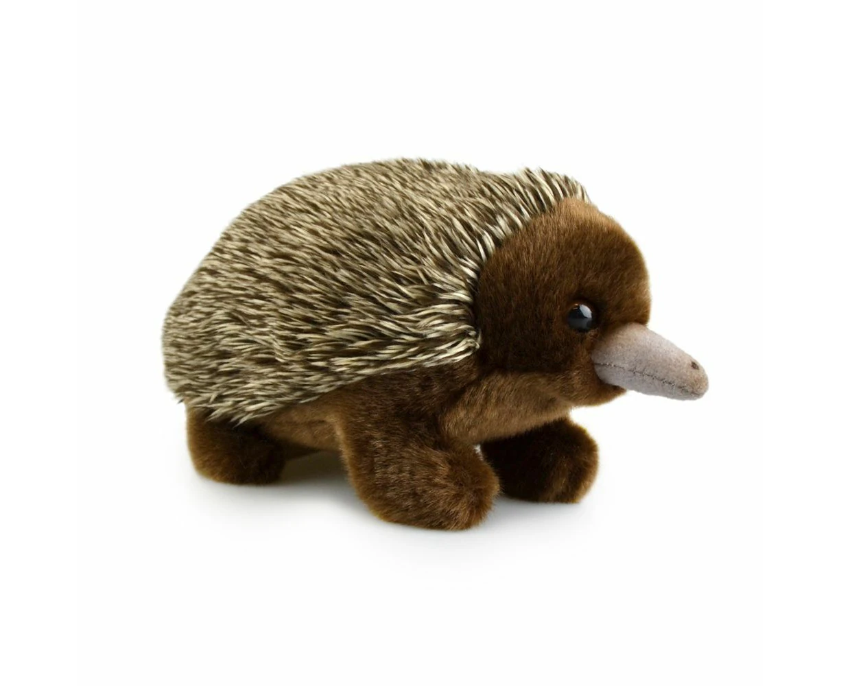 Lil Friends 18cm Echidna Kids/Children/Toddler Soft Plush Animal Toy Brown 3y+