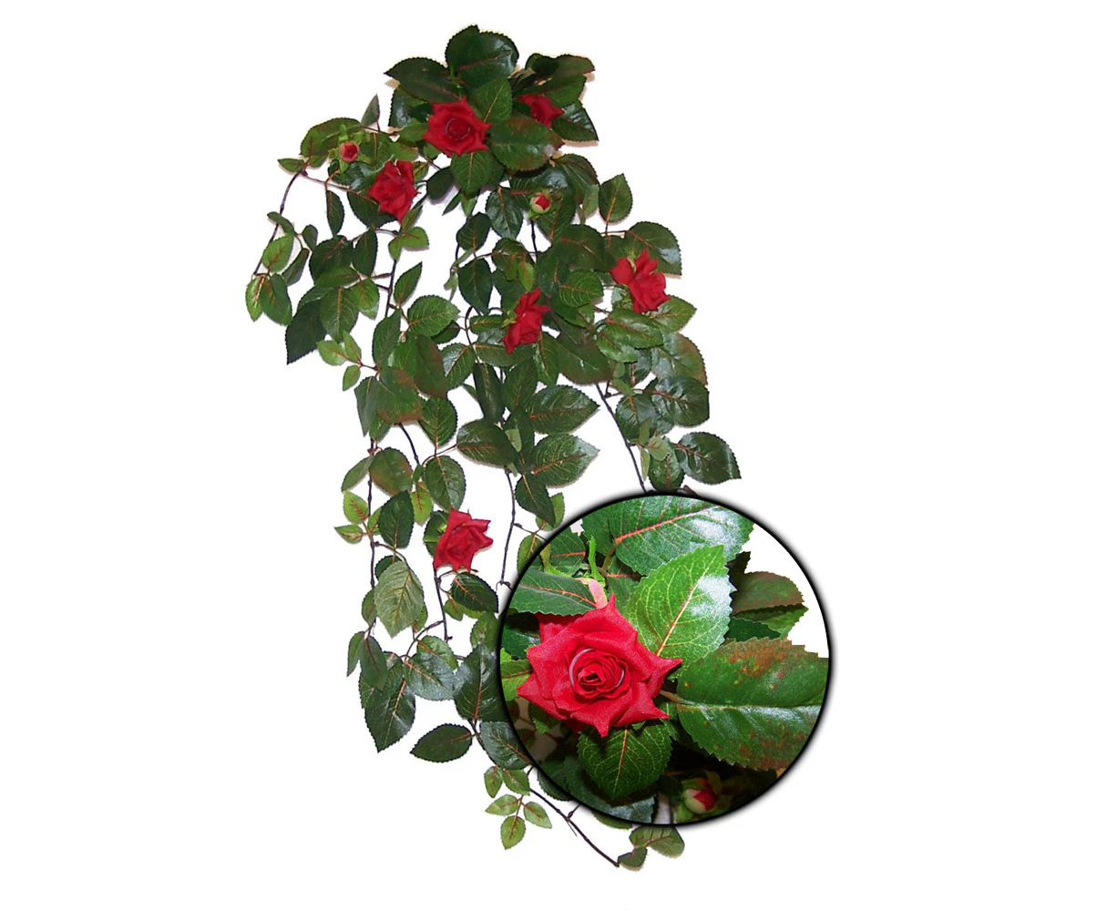 URS Red Rose Leaf Silk Plant