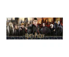 Puzzle N 1000 p - The wizarding war / Harry Potter - CATCH