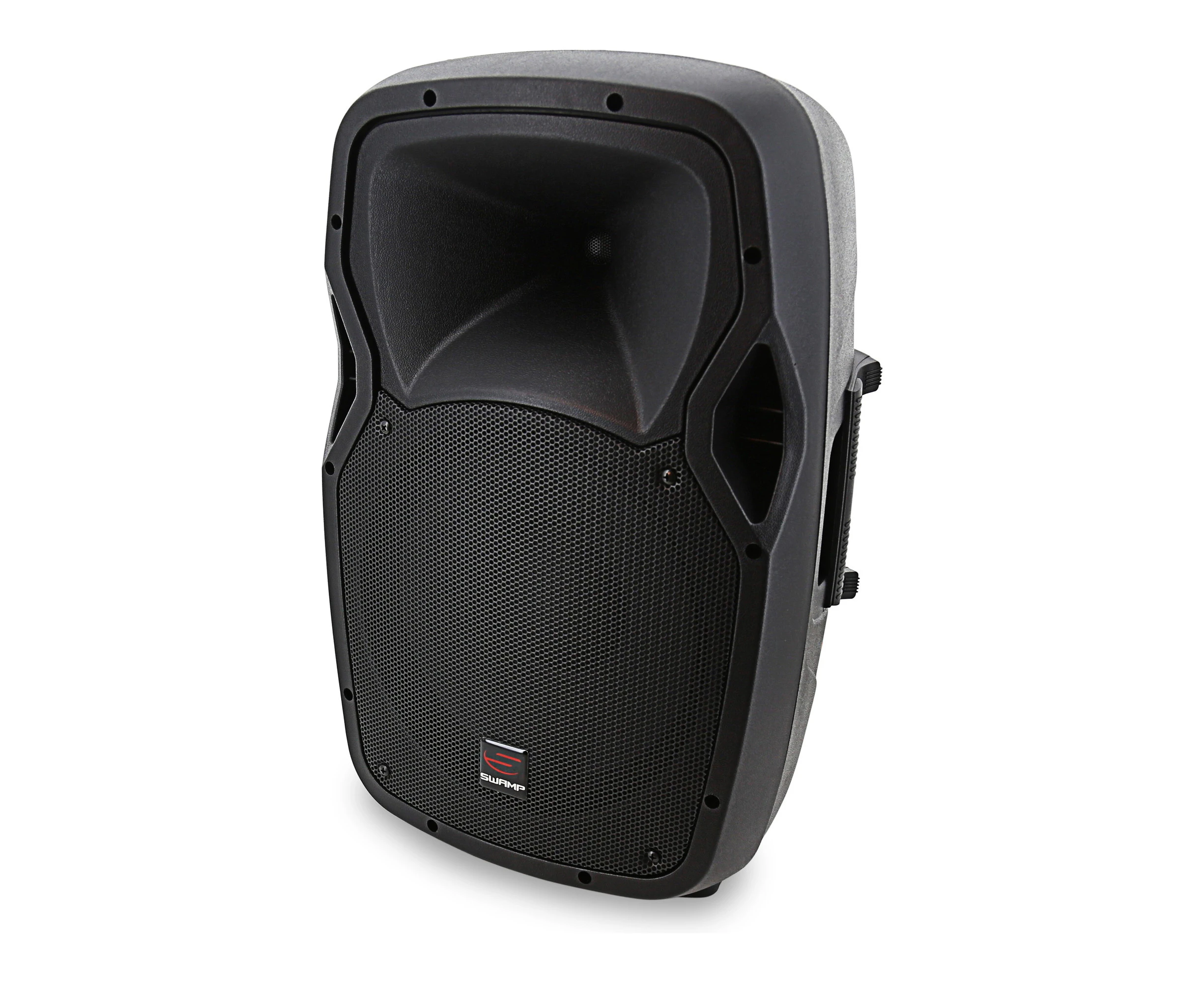 SWAMP 12" 2-way Passive PA Speaker - 180W RMS