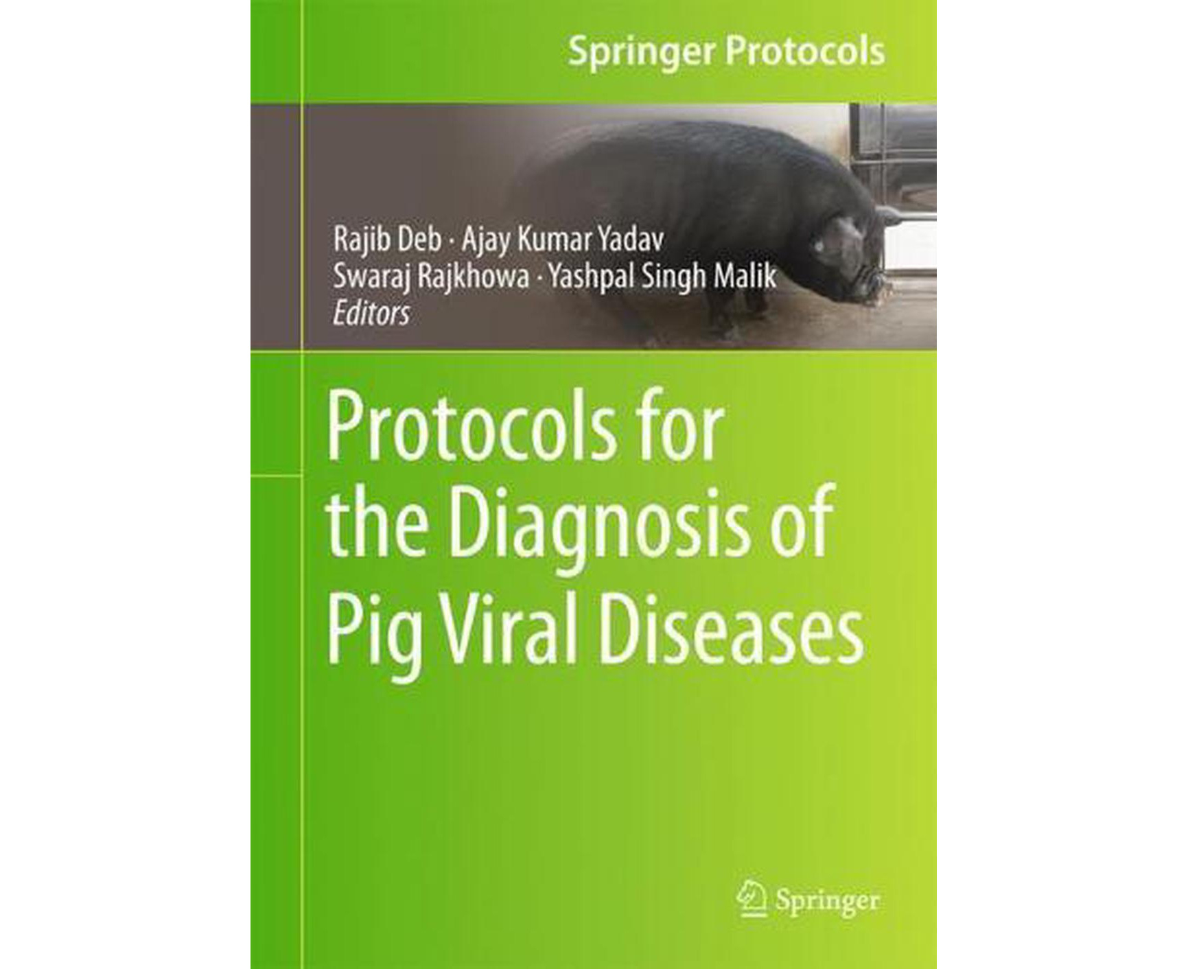 Protocols for the Diagnosis of Pig Viral Diseases | Catch.com.au