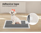 Pawz 200 Pcs 60x60cm Charcoal Pet Puppy Dog Toilet Training Pads Ultra Absorbent