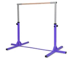 Gymnastic Training Bar Adjustable Horizontal High Bars Junior Kids Home Gym