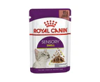 Royal Canin Sensory Smell Gravy Adult Wet Cat Food 12 X 85g