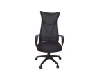 Office Chair Ergonomic High Back Mesh Computer Chair With Lumbar Support Adjustable Armrest, Backrest And Headrest