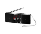 Y-618 FM Radio Portable Support TF Card USB Drive 2 Inch Mini Digital Stereo Speaker MP3 Player for Home