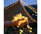 10M 80LED Outdoor Garland Ball String Lights for Camping Party