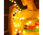 10M 80LED Outdoor Garland Ball String Lights for Camping Party