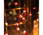 Christmas Cane String Lights Battery Operated Decorative Lights for Indoor Outdoor Light-up Decor Home Wedding Party Christmas Tree-Walking stick