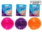2 x Chompers 8.5cm Squeaky Ball Dog Toy - Assorted (Randomly Selected)