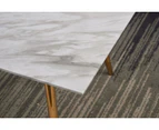 120cm Faux Marble Coffee Table Side End Steel Golden Legs White Living Room Rectangular