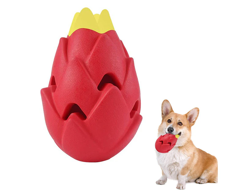 Play with high-quality dog chew toys, stylishly designed interactive dog toys for large dogs, dog educational toys,