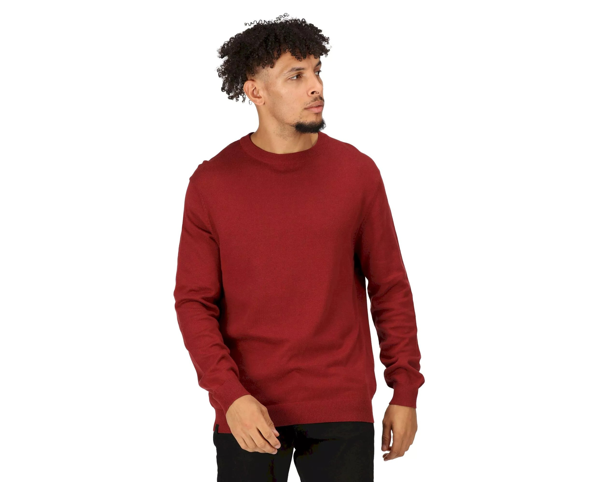 Regatta Mens Kaelen Jersey Knitted Jumper (Syrah Red) - RG8390