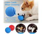 pet toy,2Pcs Pet Bouncing Ball-Blue Small 5Cm And Red Small 5Cm2Pcs Dog Toy, Bouncing Ball Dog, Interactive Dog Toy, 5Cm,Red+Blue