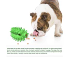 Dog Chew Toys With Bell, Suction Cup Teething Rope Toys