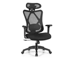 Giantex  Mesh Office Chair Ergonomic High Back Executive Chair w/Adjustable Lumbar Support & Rolling Casters Swivel Computer Desk Chair, Black