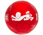 England FA Signature Football (Red) - TA10335