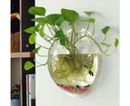 1 Gallon Clear Acrylic Hanging Wall Mounted Fish Bowl Aquaponic Tank Aquariums Plant Fish Bubble
