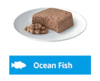 Dine Kitten Steamed Ocean Fish Wet Cat Food 85G