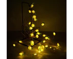 Pineapple String Lights 14Ft 40 Led 8 Modes Warm White Weatherproof Battery Operated Decorative Lights