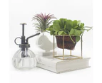 Plant Mister,  Vintage Style Decorative Glass Water Spray Bottle-Clear