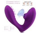 Electric Clit Sucking Anal Panties Vibrator G-Spot Dildo Sex Toys for Female