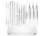 15Pcs  Stainless Steel Blackhead Remover Pimple Popper Tool Kit with Metal Case