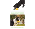 emPAWrium Dog Toothbrush Interactive TPR Squeak Chew Toy with Rope Corn