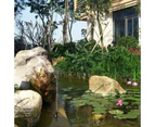 Solar Powered Water Fountain Pump Bird Bath Pond Pool Garden - 1.5W 2W