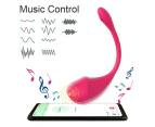 App Remote Control Vibrator for Women