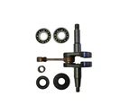 Bottom End Kit - Crankshaft Bearings Oil Seals for SX62 Baumr-Ag Chainsaw 62cc