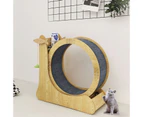 Cat Exercise Wheel Toy Running Exerciser Treadmill Furniture Scratcher Board Roller Play Gym Sports Equipment with Carpet Runway