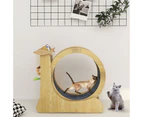 Cat Exercise Wheel Toy Running Exerciser Treadmill Furniture Scratcher Board Roller Play Gym Sports Equipment with Carpet Runway